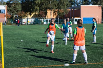 Bild 4 - B-Juniorinnen SV Henstedt Ulzburg - SG Weststeinburg : Ergebnis: 4:0